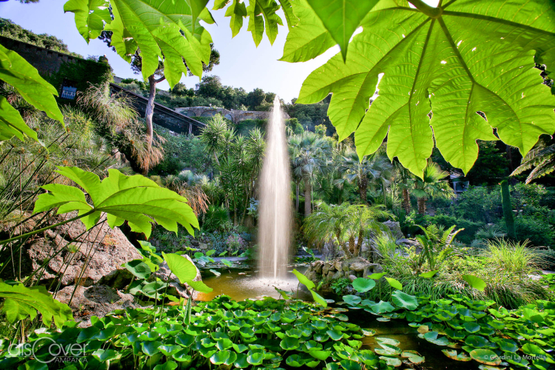 From 9:00 a.m. to 7:00 p.m. visit the La Mortella Gardens, among the ten most beautiful in Italy and Europe
