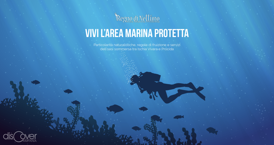 Le meraviglie del Regno di Nettuno